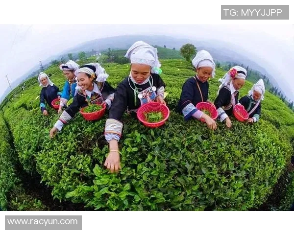 茶香四溢的绿茵场上足球明星与茶的深厚情缘