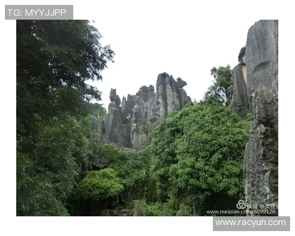 上海羽毛球队逆袭之旅：从低谷到巅峰的杯赛传奇故事
