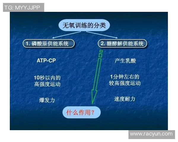 成都羽毛球队反击战术解析与实战应用探讨