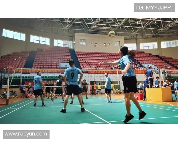 杭州排球队的奋斗历程:一段不屈不挠的排球精神之旅 杭州排球队的奋斗历程:一段不屈不挠的排球精神之旅