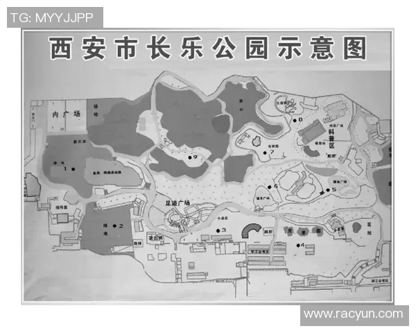 深入分析西安乒乓球队的阵地战战术与技巧解析