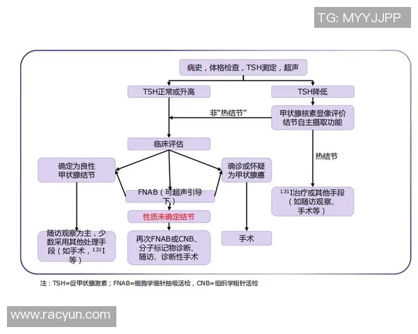 科学排球训练方法与比赛经验提升的全面指南 科学排球训练方法与比赛经验提升的全面指南